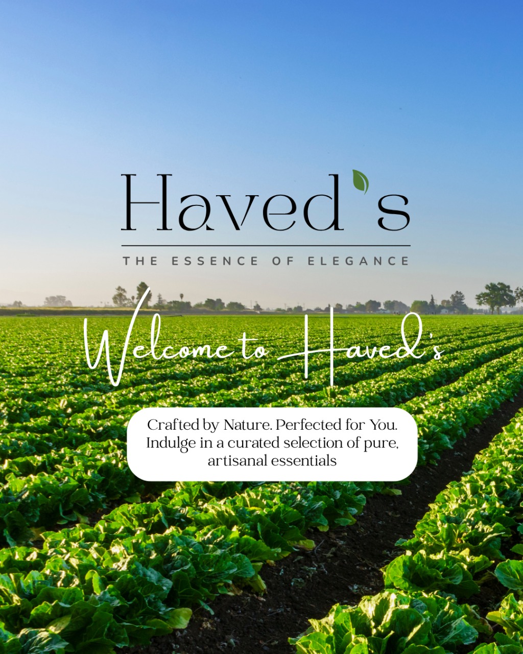 A Fresh Identity, The Same Pure Promise.